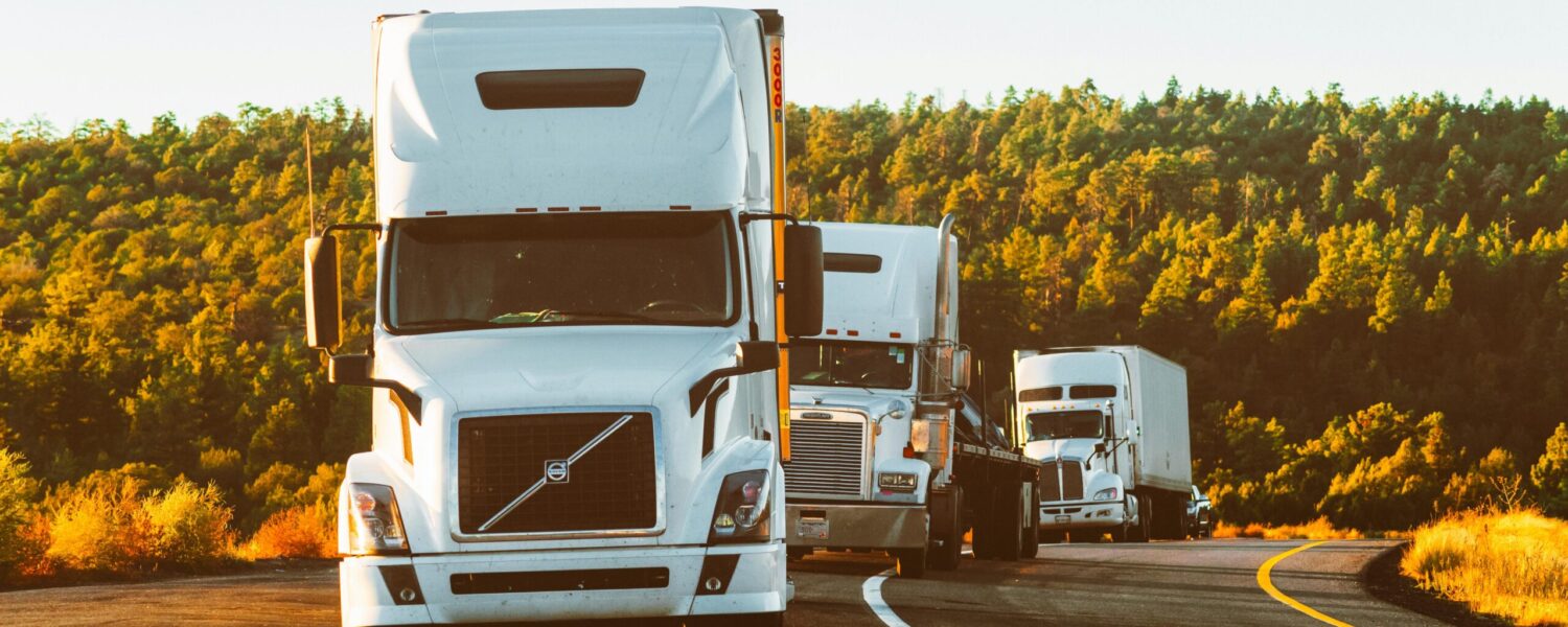 pexels-quintingellar-2199293 pexels-quintingellar-2199293